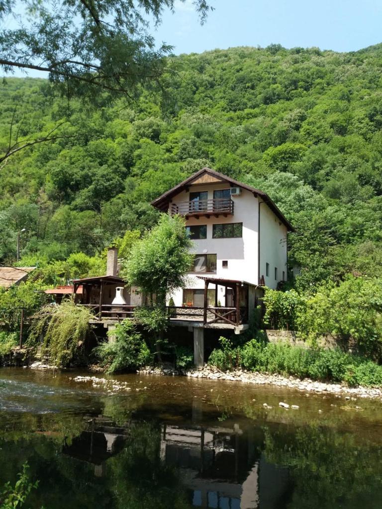 Casa Vivian Hotel Байле Херкулане Екстериор снимка